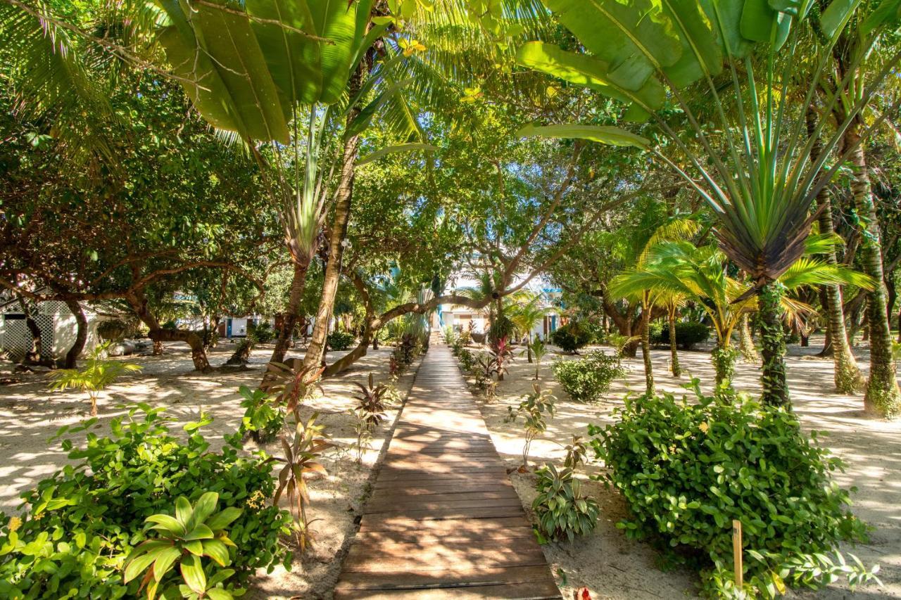 Condo #27 @ Beachside Villas Дангрига Екстериор снимка